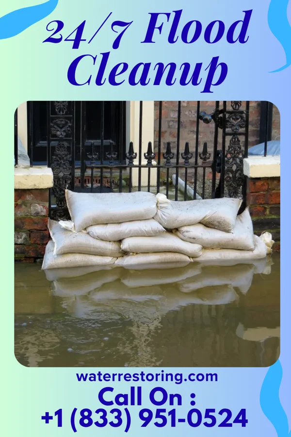 24/7 Flood Cleanup in Butterfield, MO