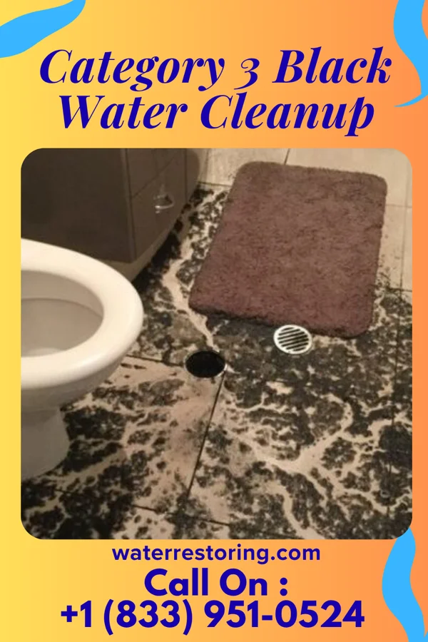 Category 3 Black Water Cleanup in Butterfield, MO