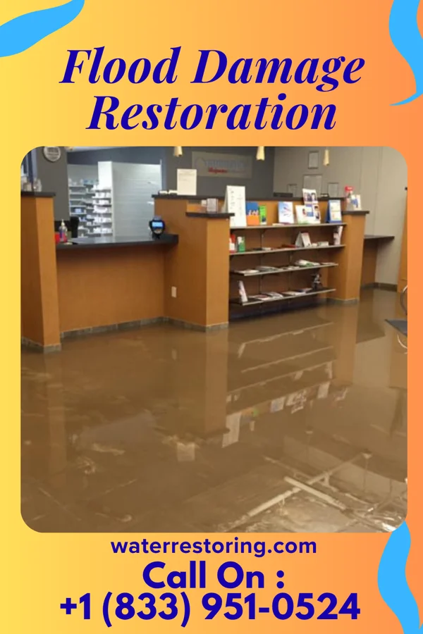 Flood Damage Restoration in Butterfield, MO
