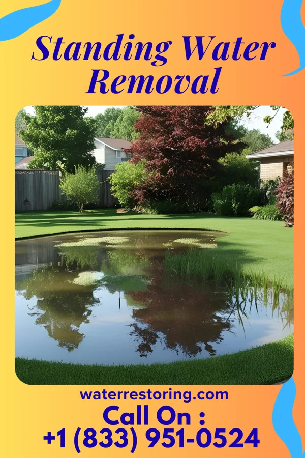 Standing Water Removal in Butterfield, MO
